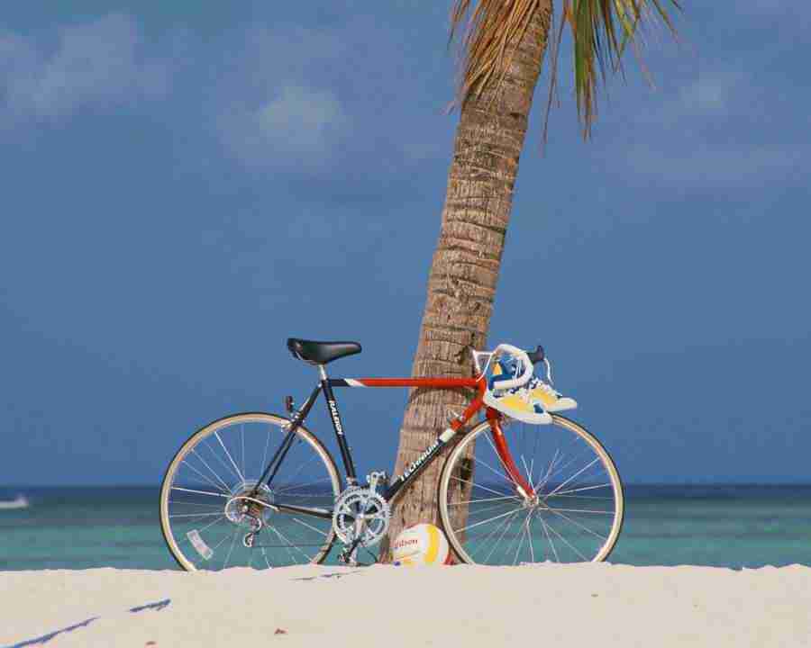 Tropical Vacation - Mixa Image Library ></a>
<script language=JavaScript> 
  var txt = 