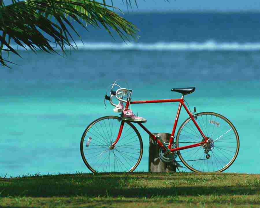 Tropical Vacation - Mixa Image Library ></a>
<script language=JavaScript> 
  var txt = 