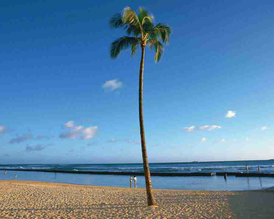 Tropical Vacation - Mixa Image Library ></a>
<script language=JavaScript> 
  var txt = 