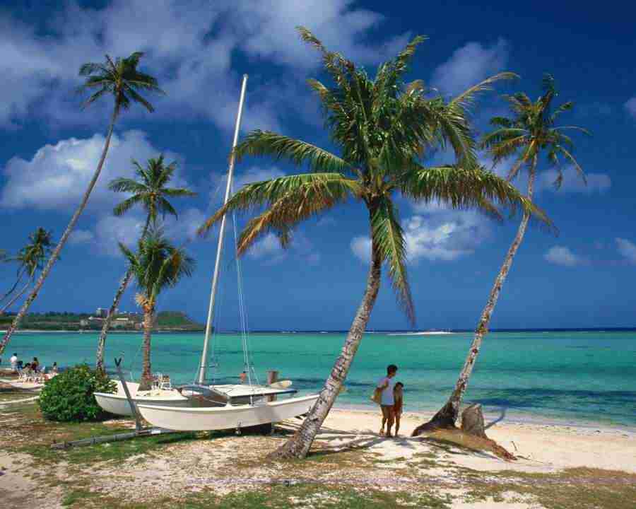 Tropical Vacation - Mixa Image Library ></a>
<script language=JavaScript> 
  var txt = 