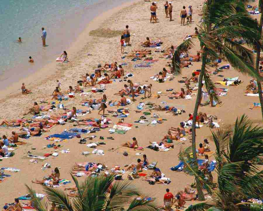 Tropical Vacation - Mixa Image Library ></a>
<script language=JavaScript> 
  var txt = 