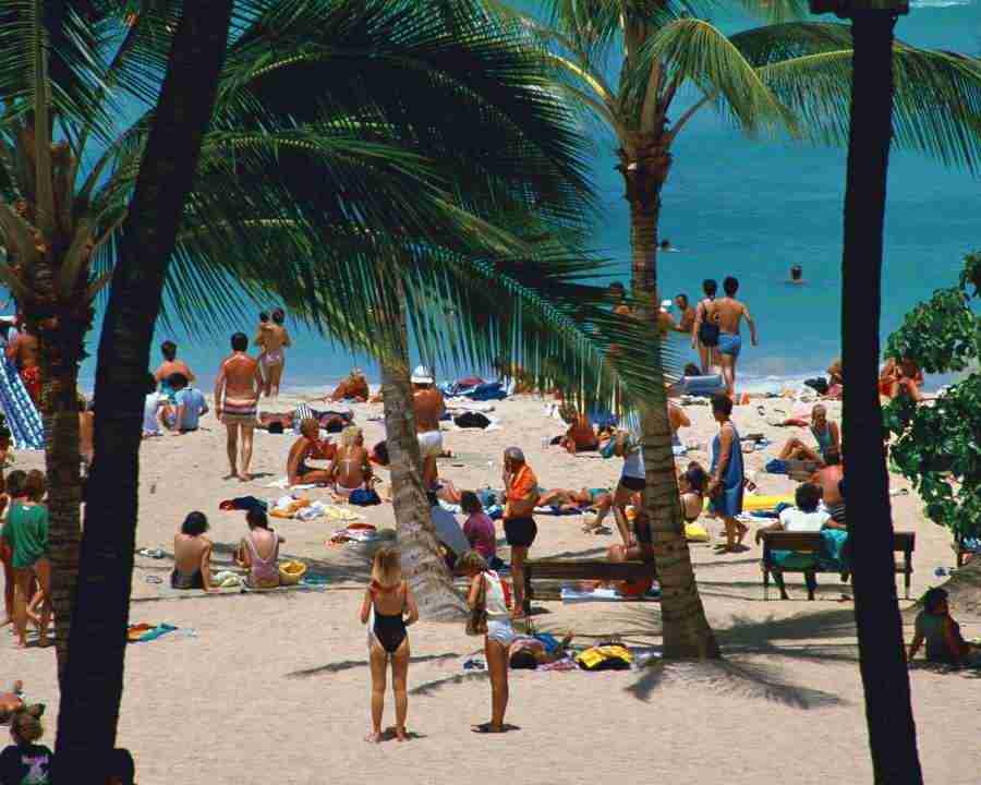 Tropical Vacation - Mixa Image Library ></a>
<script language=JavaScript> 
  var txt = 