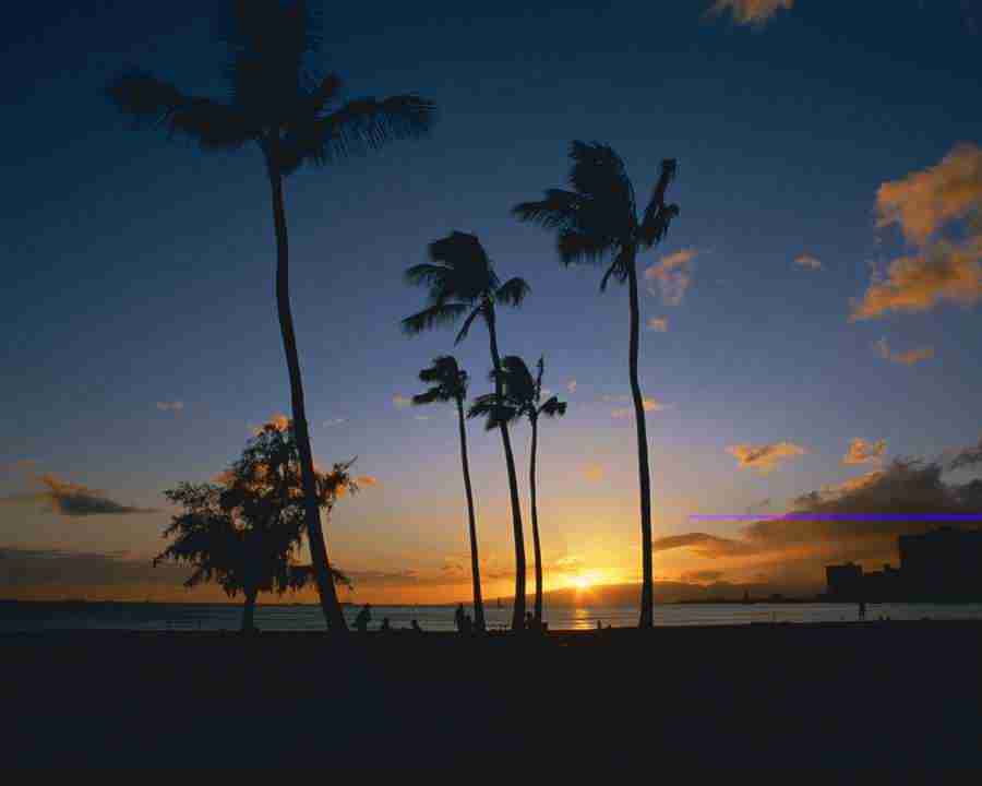 Tropical Vacation - Mixa Image Library ></a>
<script language=JavaScript> 
  var txt = 