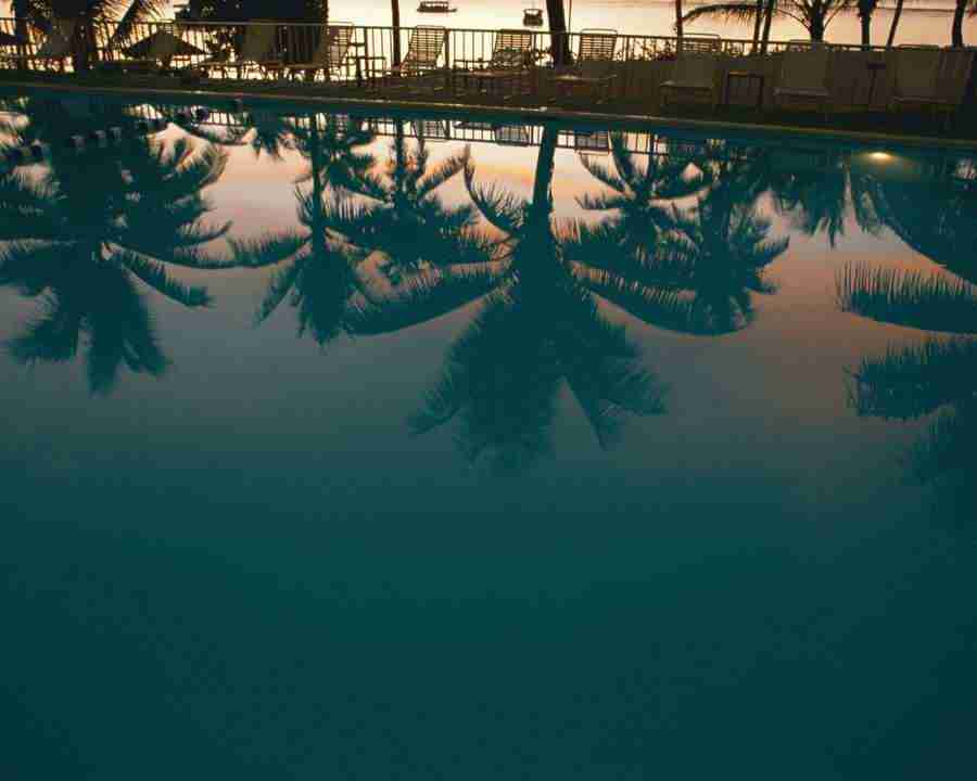 Tropical Vacation - Mixa Image Library ></a>
<script language=JavaScript> 
  var txt = 