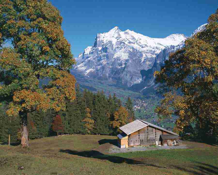 Views of Switzerland - Mixa Image Library ></a>
<script language=JavaScript> 
  var txt = 