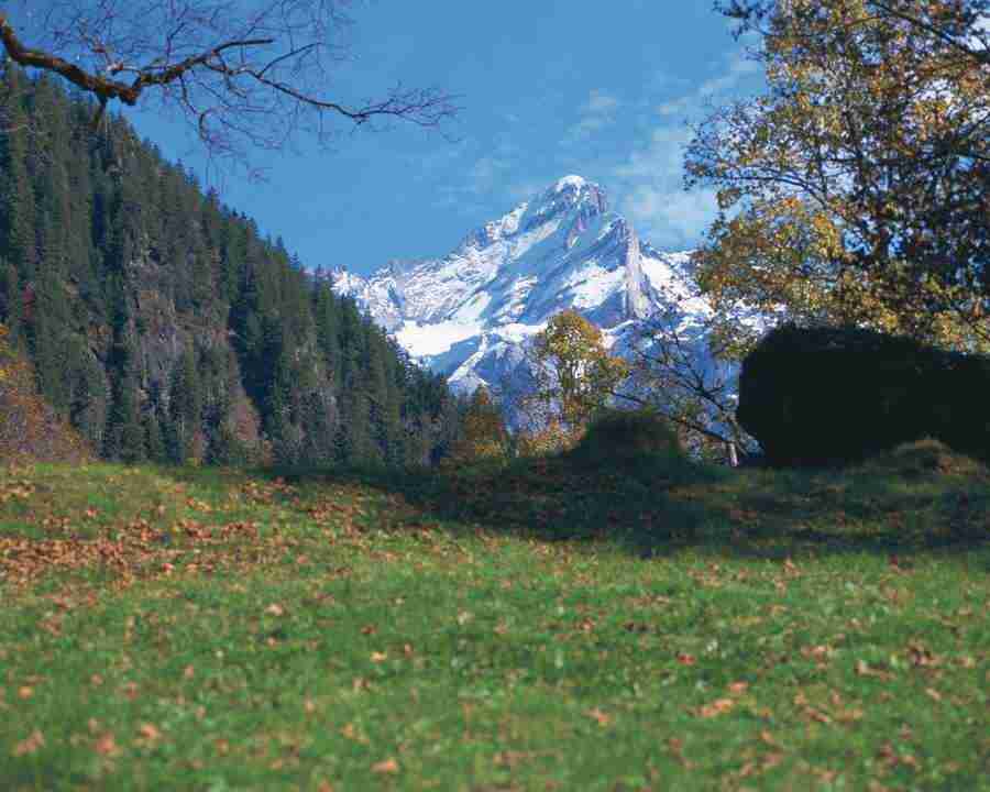 Views of Switzerland - Mixa Image Library ></a>
<script language=JavaScript> 
  var txt = 