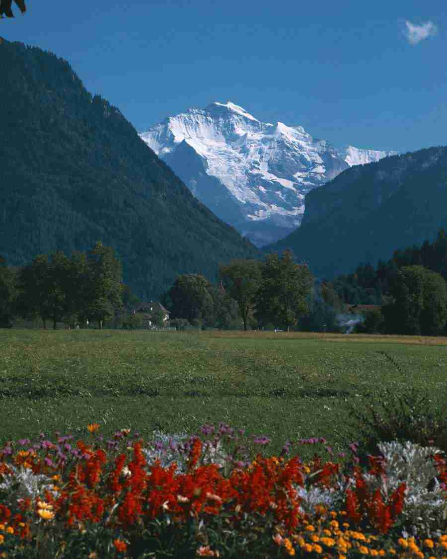 Views of Switzerland - Mixa Image Library ></a>
<script language=JavaScript> 
  var txt = 