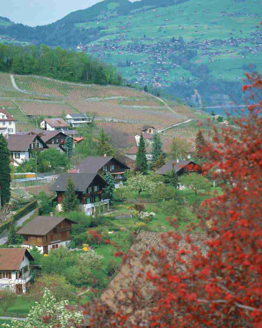 Views of Switzerland - Mixa Image Library ></a>
<script language=JavaScript> 
  var txt = 