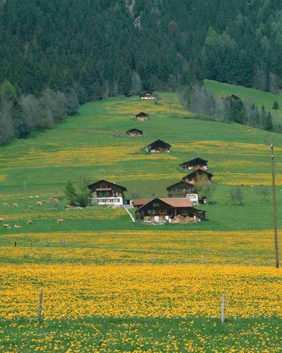 Views of Switzerland - Mixa Image Library ></a>
<script language=JavaScript> 
  var txt = 