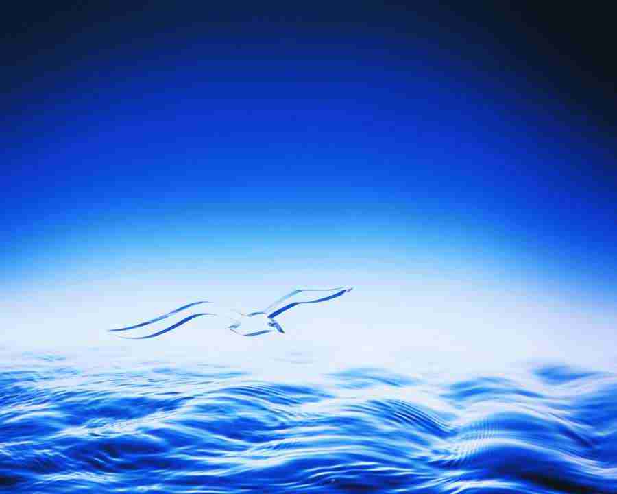Water Images - Mixa Image Library ></a>
<script language=JavaScript> 
  var txt = 