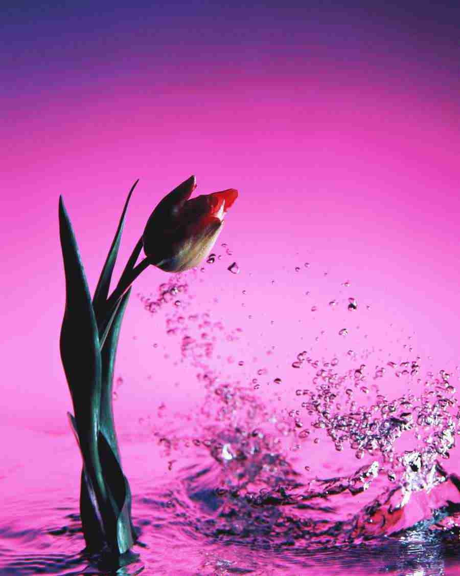 Water Images - Mixa Image Library ></a>
<script language=JavaScript> 
  var txt = 