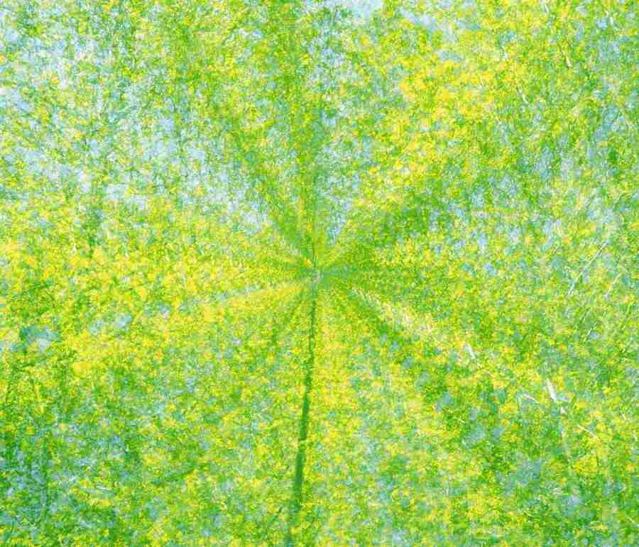 Images of Light - Mixa Pro ></a>
<script language=JavaScript> 
  var txt = 