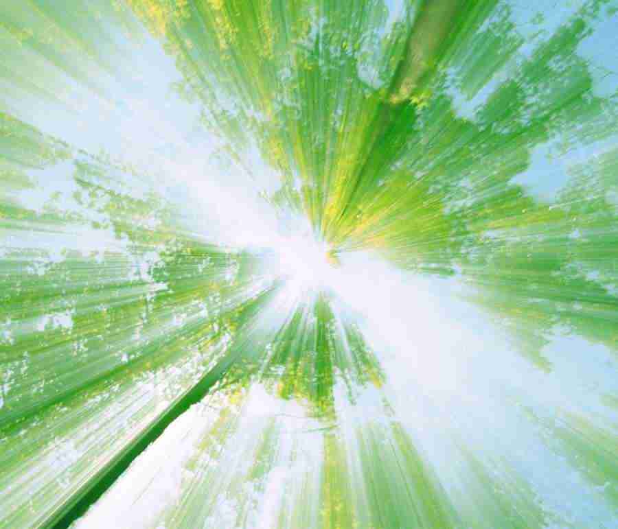 Images of Light - Mixa Pro ></a>
<script language=JavaScript> 
  var txt = 