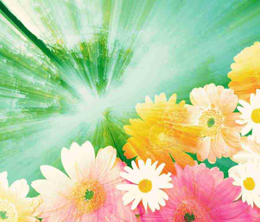 Images of Light - Mixa Pro ></a>
<script language=JavaScript> 
  var txt = 