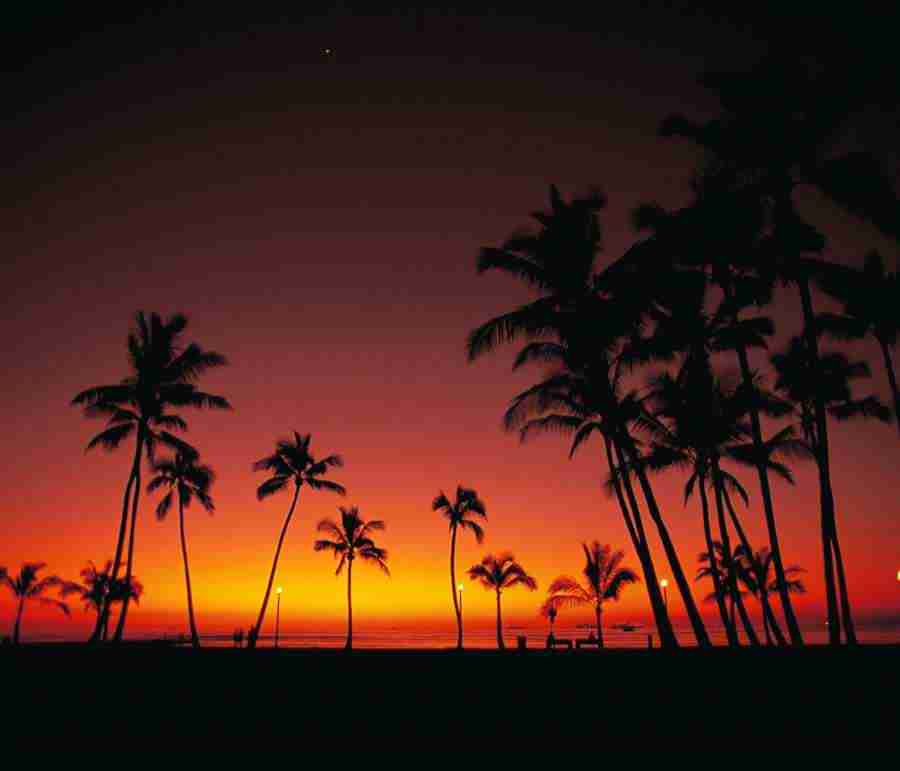 Scenery of the World - Mixa Pro ></a>
<script language=JavaScript> 
  var txt = 