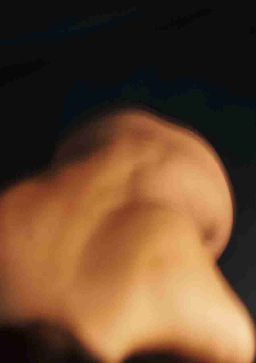 Female Sensuality - PhotoAlto ></a>
<script language=JavaScript> 
  var txt = 