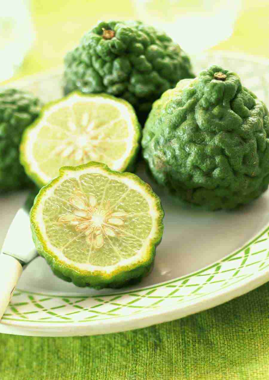 International Cuisine - PhotoAlto ></a>
<script language=JavaScript> 
  var txt = 