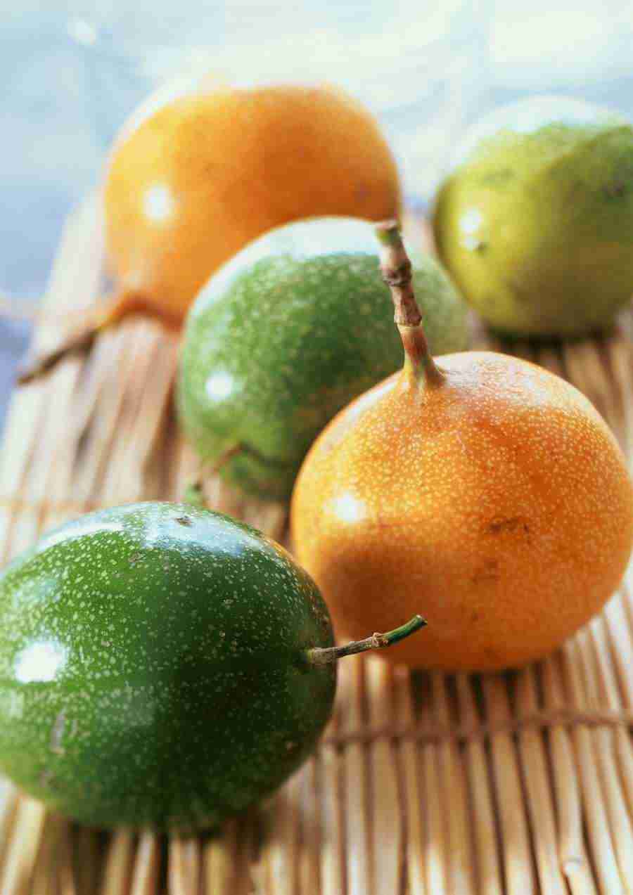 International Cuisine - PhotoAlto ></a>
<script language=JavaScript> 
  var txt = 