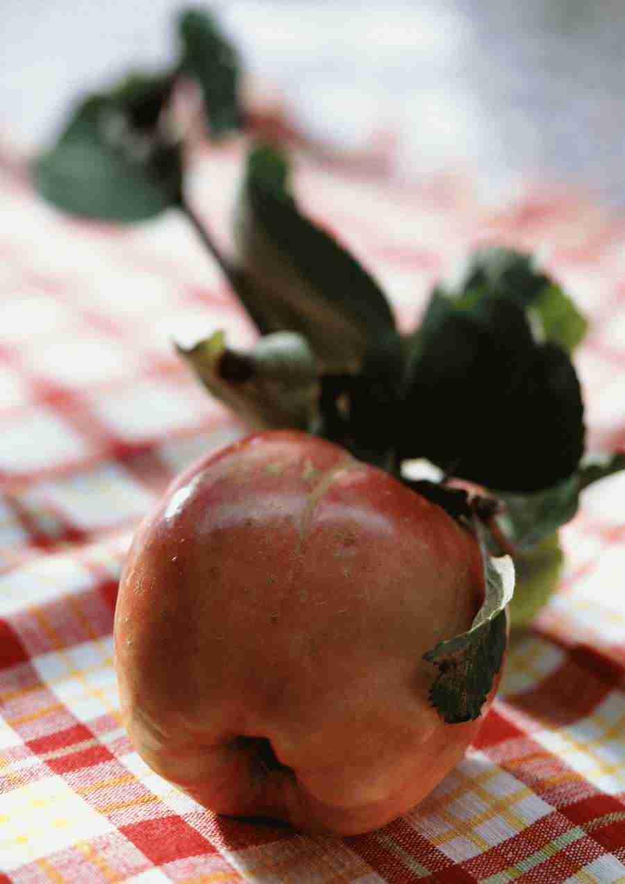 International Cuisine - PhotoAlto ></a>
<script language=JavaScript> 
  var txt = 