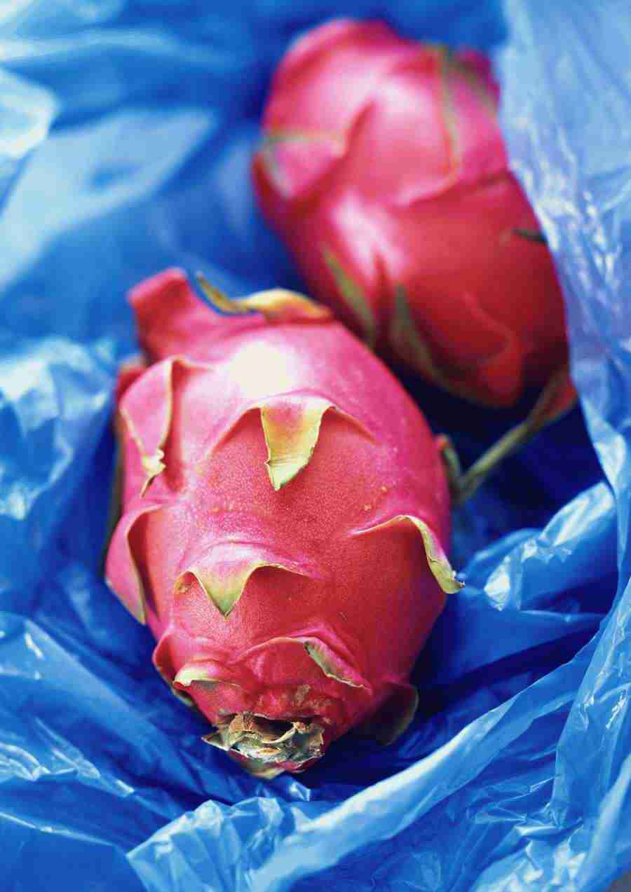 International Cuisine - PhotoAlto ></a>
<script language=JavaScript> 
  var txt = 