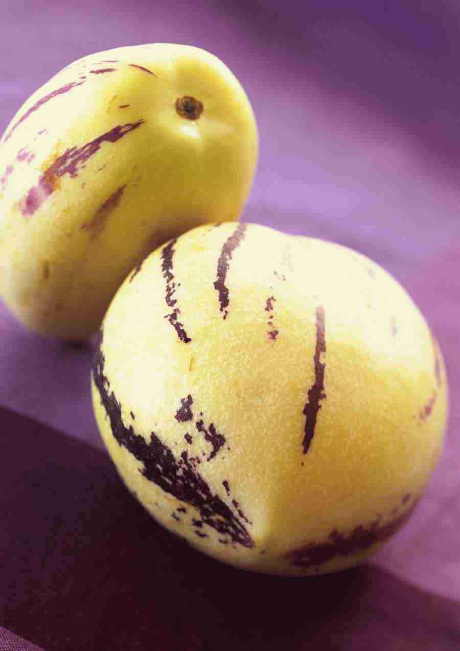 International Cuisine - PhotoAlto ></a>
<script language=JavaScript> 
  var txt = 