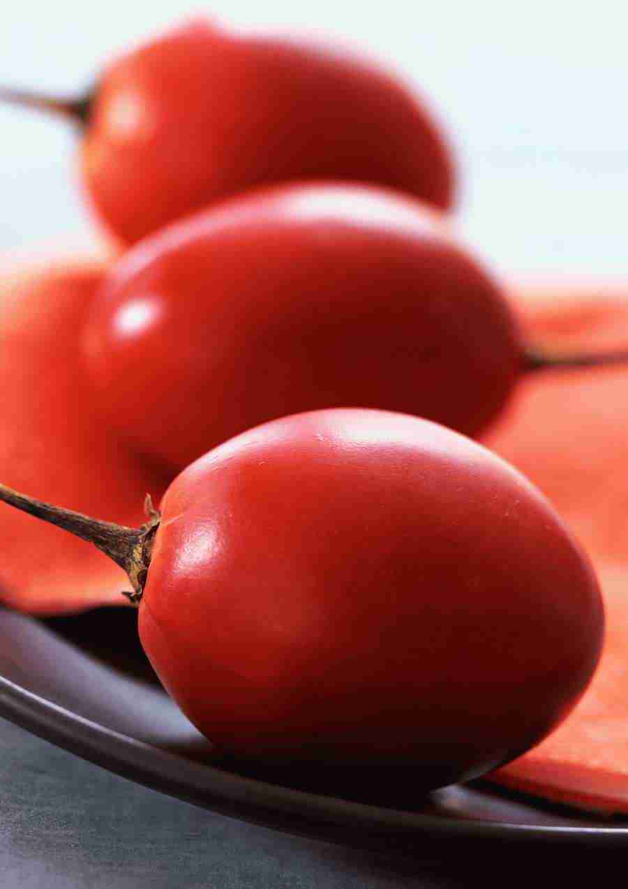 International Cuisine - PhotoAlto ></a>
<script language=JavaScript> 
  var txt = 