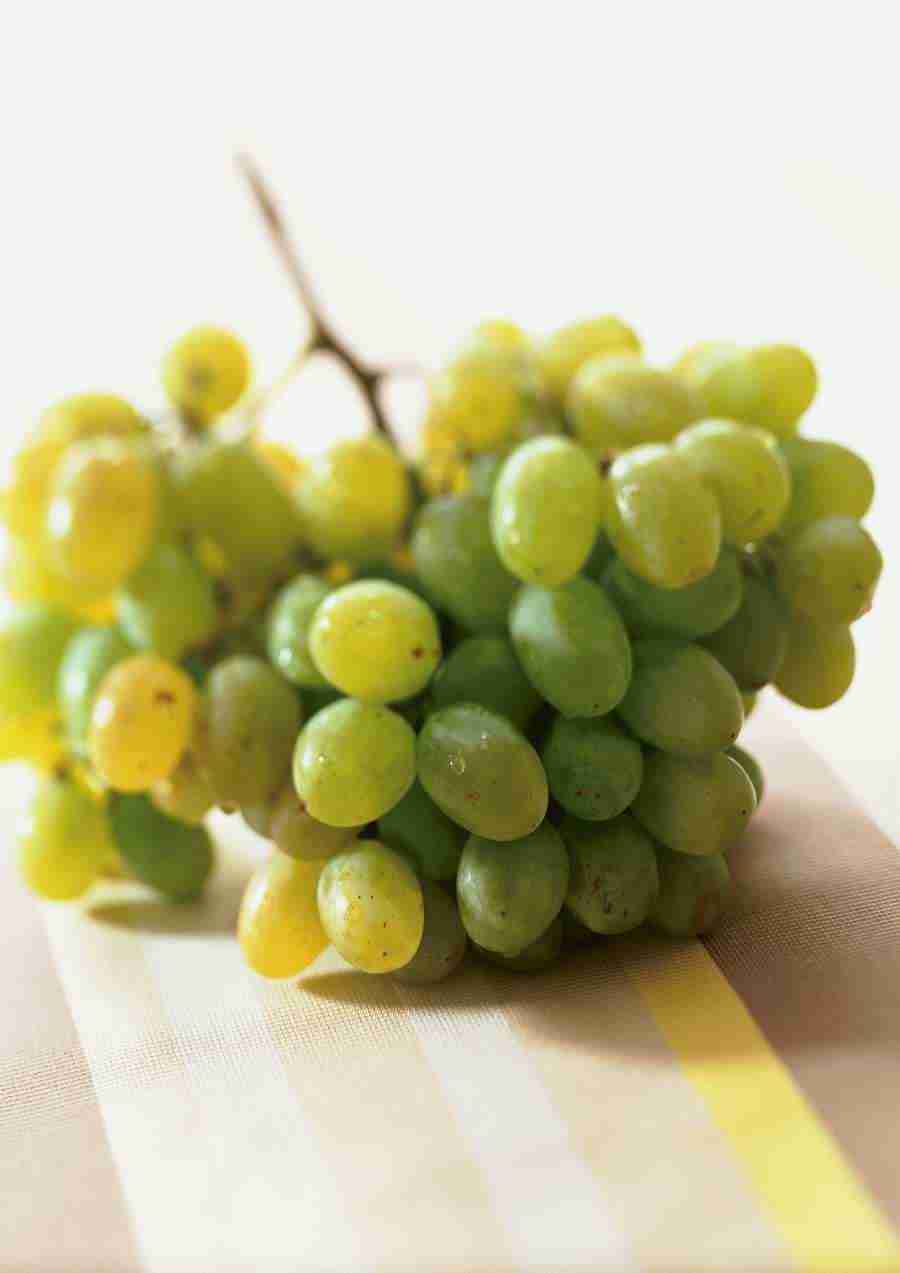 International Cuisine - PhotoAlto ></a>
<script language=JavaScript> 
  var txt = 