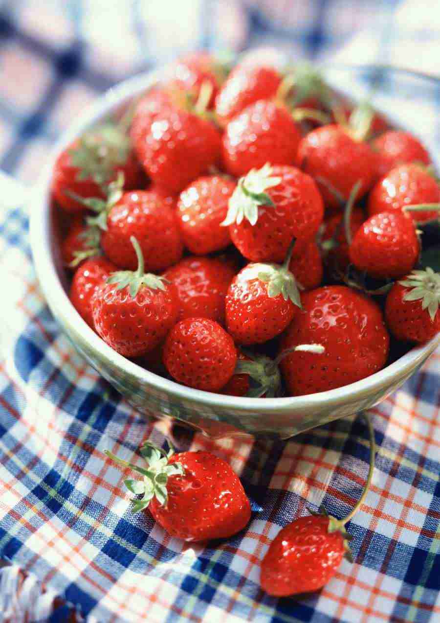 International Cuisine - PhotoAlto ></a>
<script language=JavaScript> 
  var txt = 