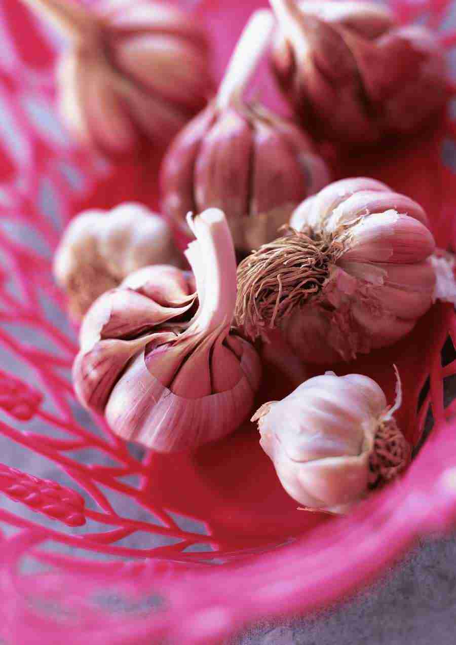 International Cuisine - PhotoAlto ></a>
<script language=JavaScript> 
  var txt = 