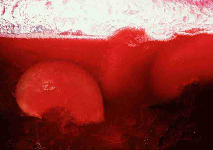 International Cuisine - PhotoAlto ></a>
<script language=JavaScript> 
  var txt = 