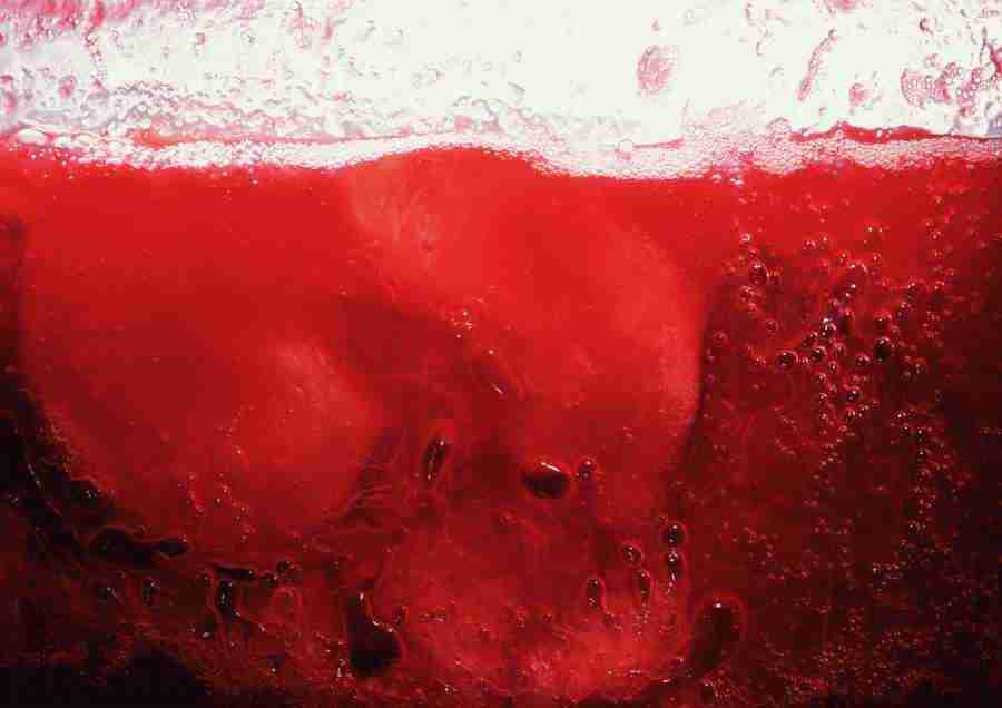 International Cuisine - PhotoAlto ></a>
<script language=JavaScript> 
  var txt = 