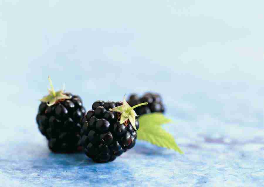 International Cuisine - PhotoAlto ></a>
<script language=JavaScript> 
  var txt = 