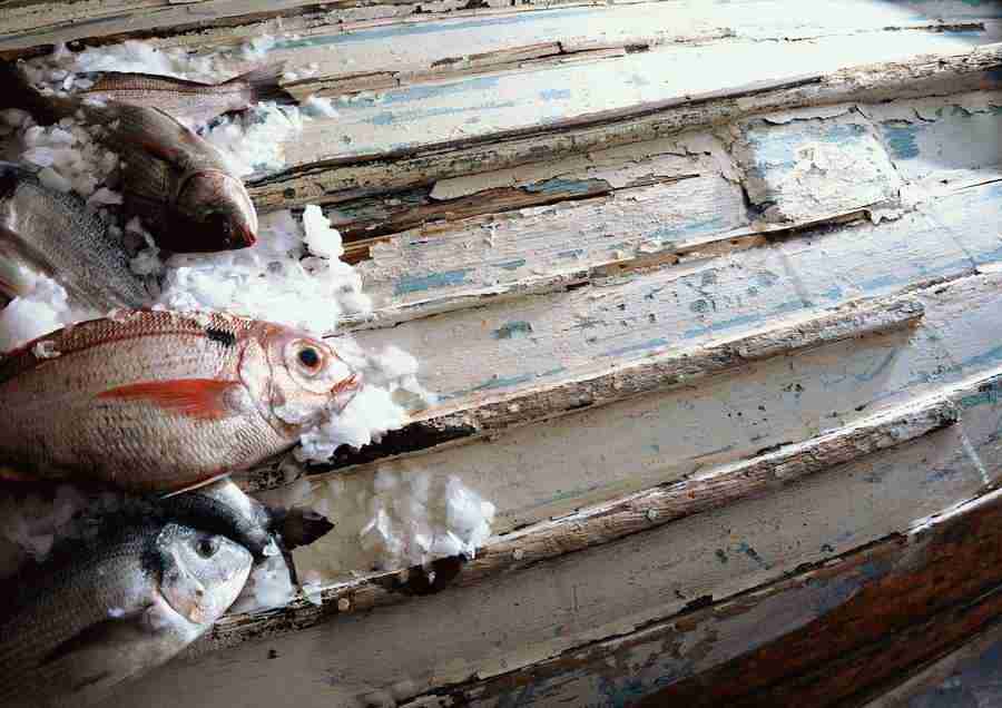 International Cuisine - PhotoAlto ></a>
<script language=JavaScript> 
  var txt = 