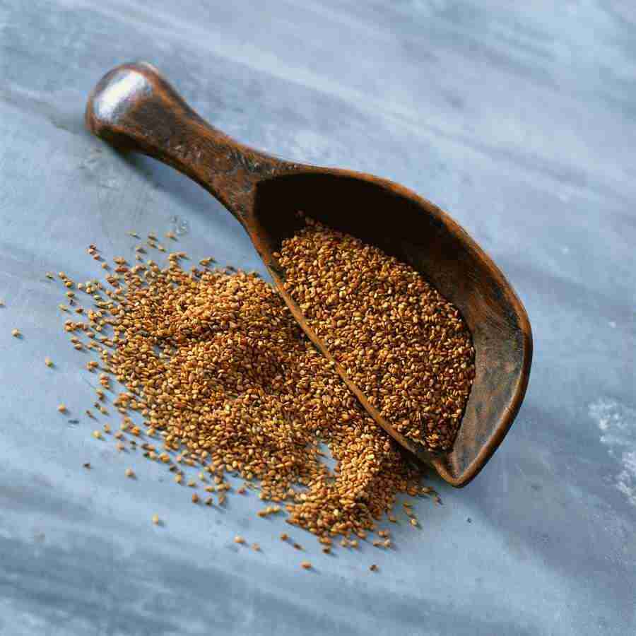 International Cuisine - PhotoAlto ></a>
<script language=JavaScript> 
  var txt = 