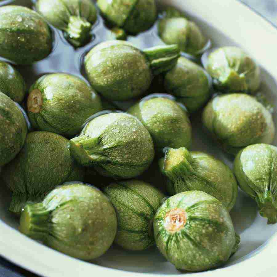 International Cuisine - PhotoAlto ></a>
<script language=JavaScript> 
  var txt = 