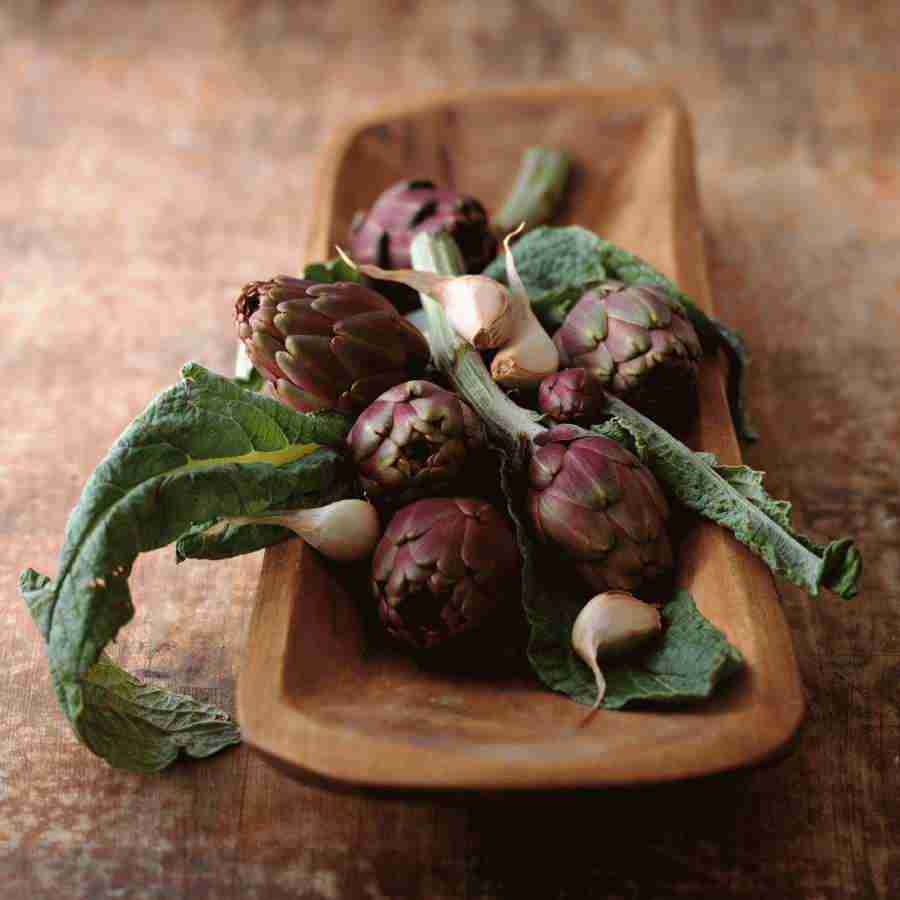 International Cuisine - PhotoAlto ></a>
<script language=JavaScript> 
  var txt = 