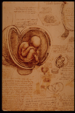 Planetart : Leonardo Da Vinci 