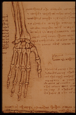 Planetart : Leonardo Da Vinci 