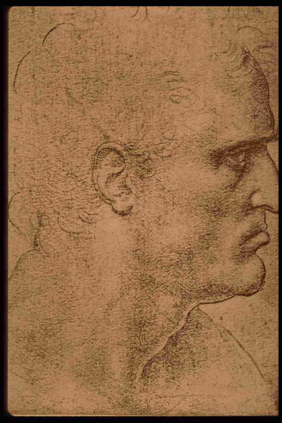 Leonardo Da Vinci - Planetart  ></a>
<script language=JavaScript> 
  var txt = 