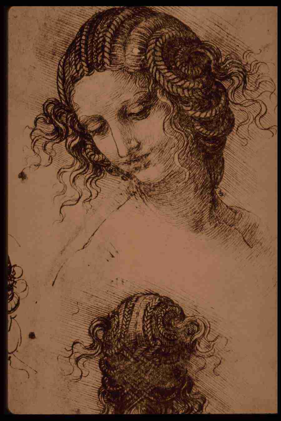 Leonardo Da Vinci - Planetart  ></a>
<script language=JavaScript> 
  var txt = 