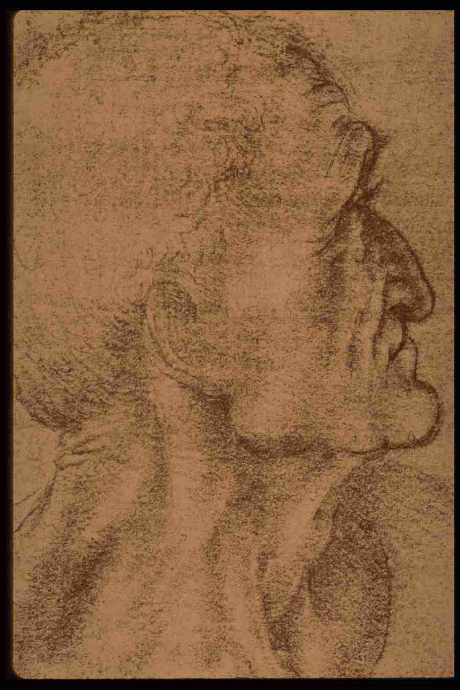 Leonardo Da Vinci - Planetart  ></a>
<script language=JavaScript> 
  var txt = 