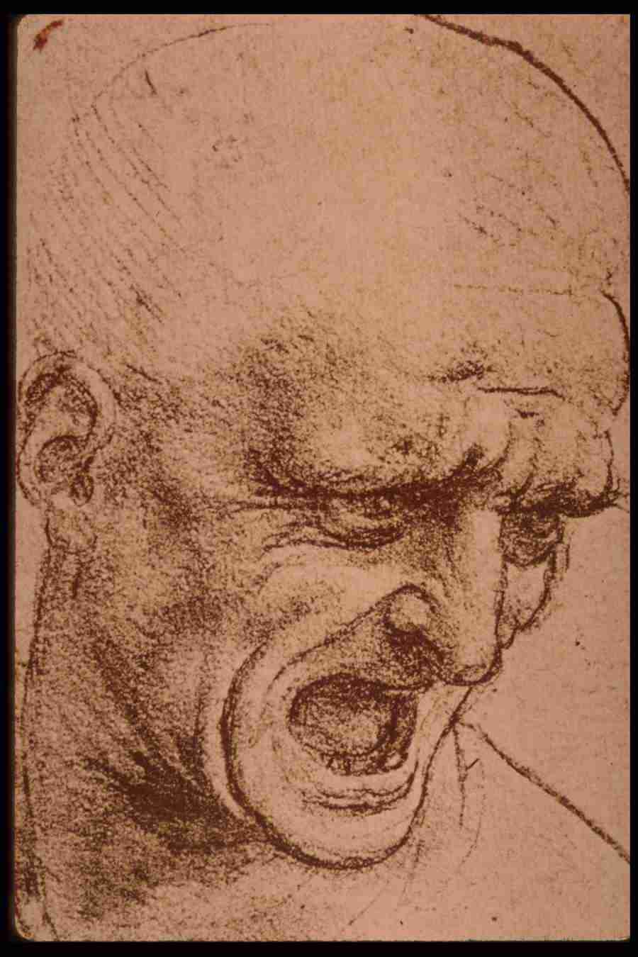 Leonardo Da Vinci - Planetart  ></a>
<script language=JavaScript> 
  var txt = 