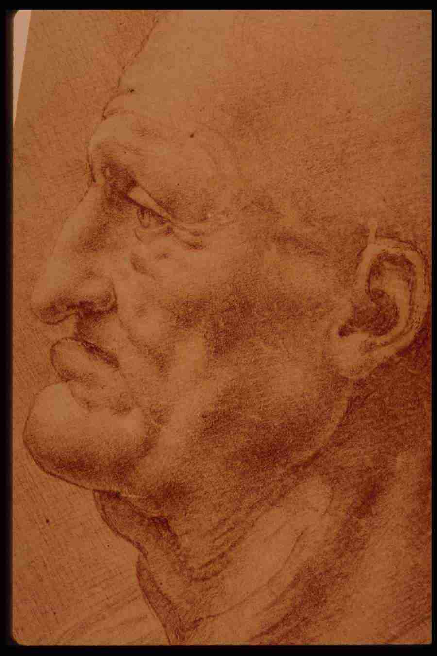 Leonardo Da Vinci - Planetart  ></a>
<script language=JavaScript> 
  var txt = 