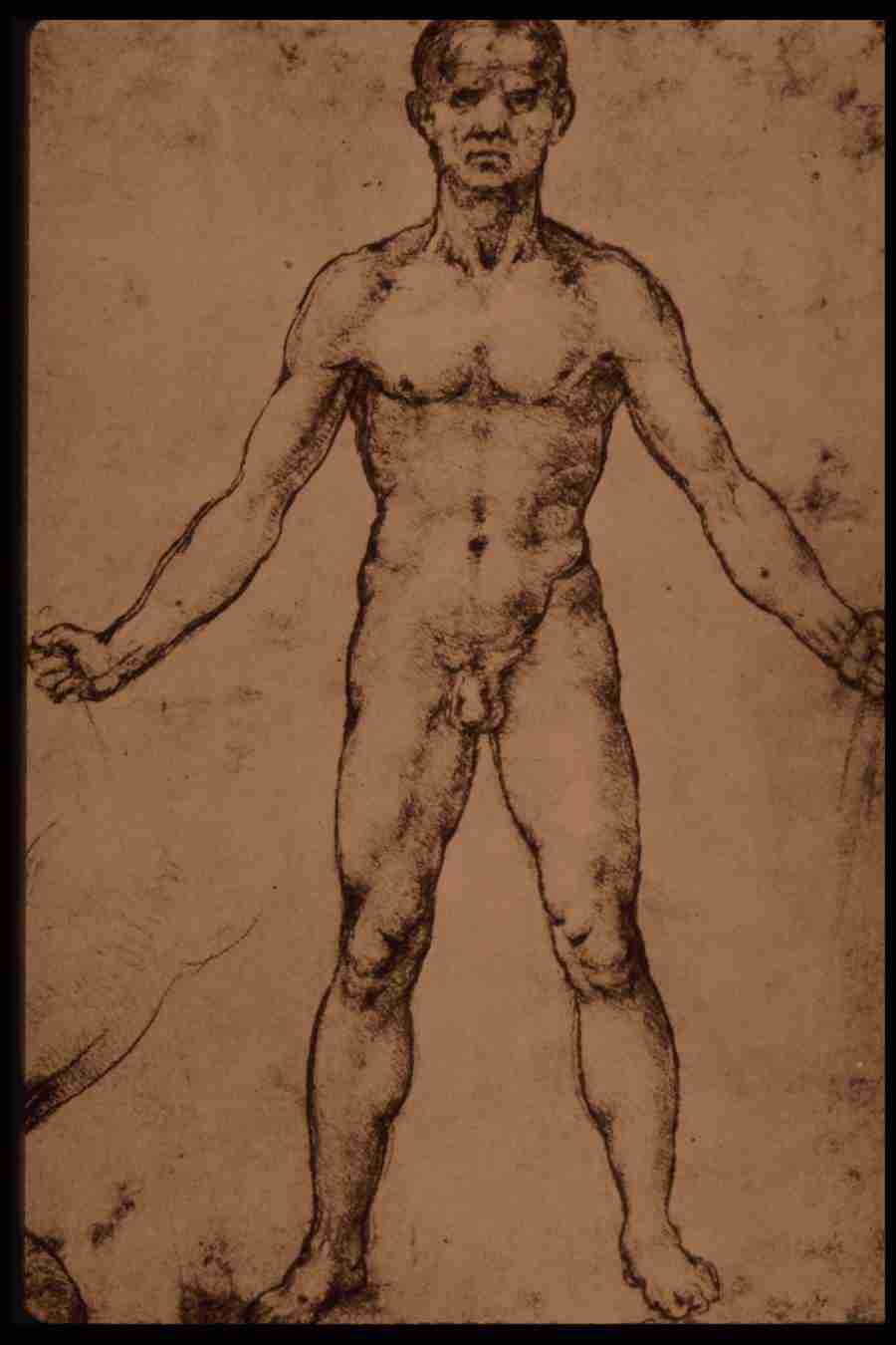 Leonardo Da Vinci - Planetart  ></a>
<script language=JavaScript> 
  var txt = 