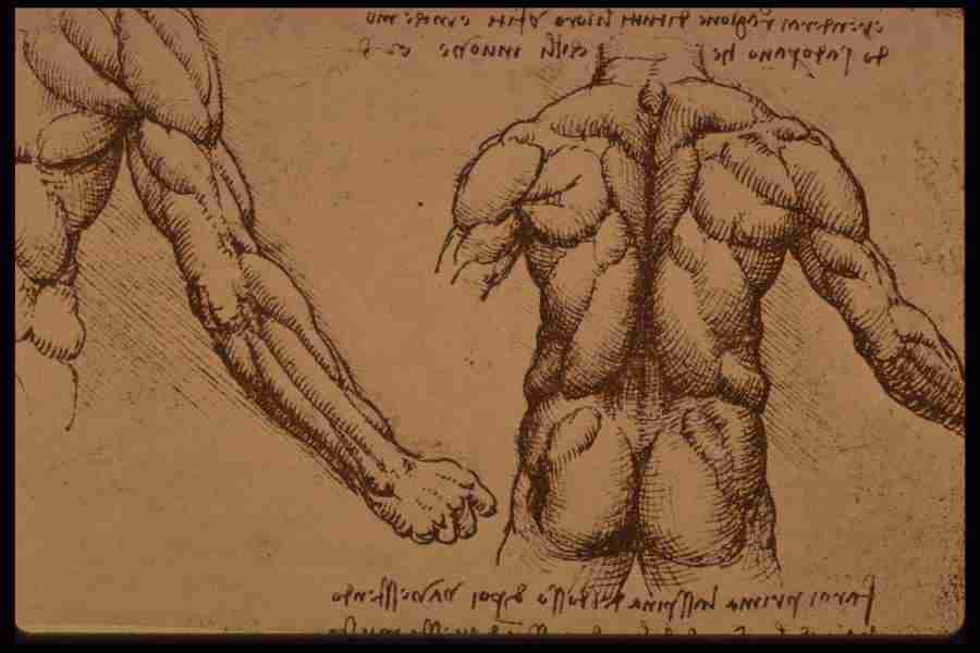 Leonardo Da Vinci - Planetart  ></a>
<script language=JavaScript> 
  var txt = 