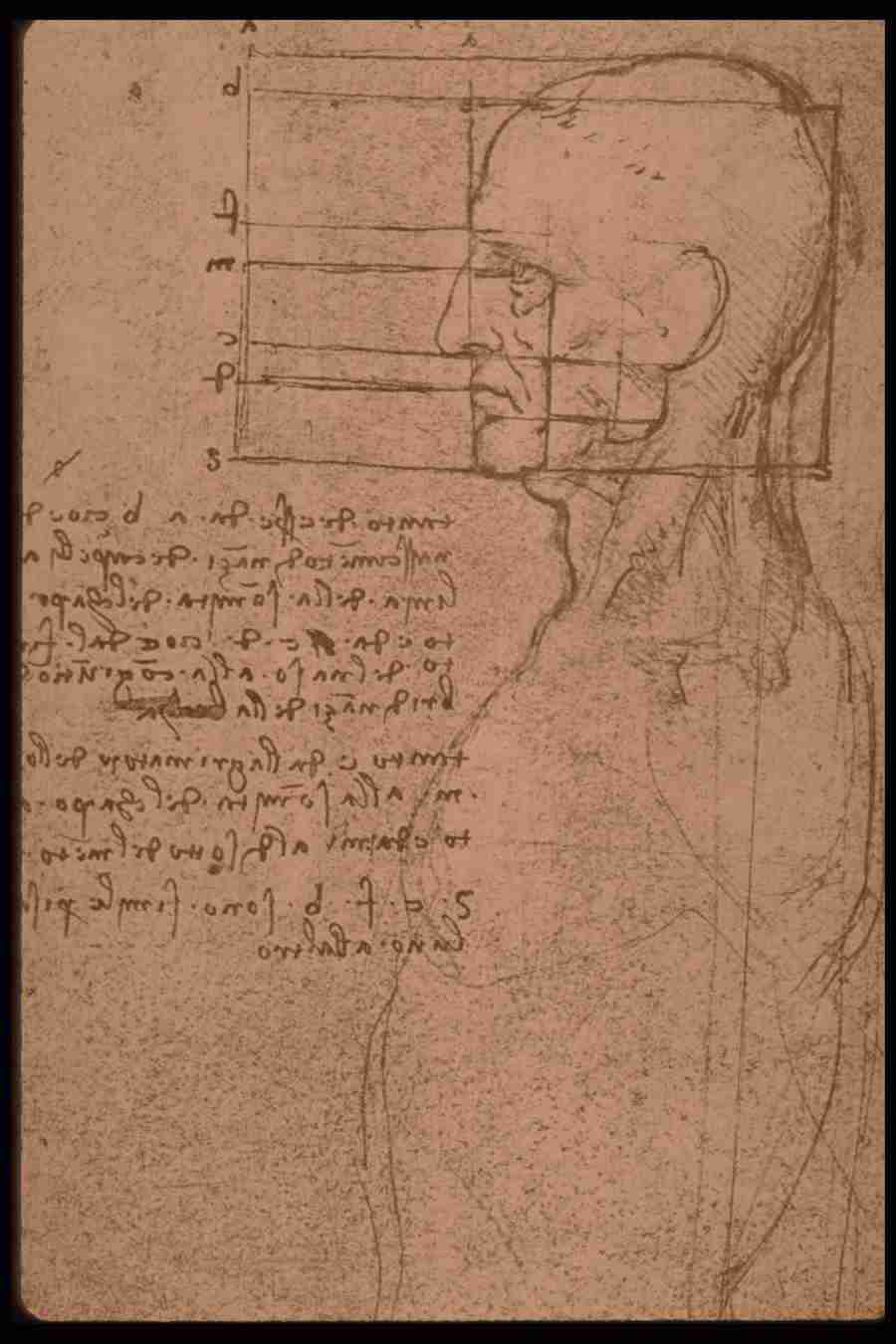 Leonardo Da Vinci - Planetart  ></a>
<script language=JavaScript> 
  var txt = 