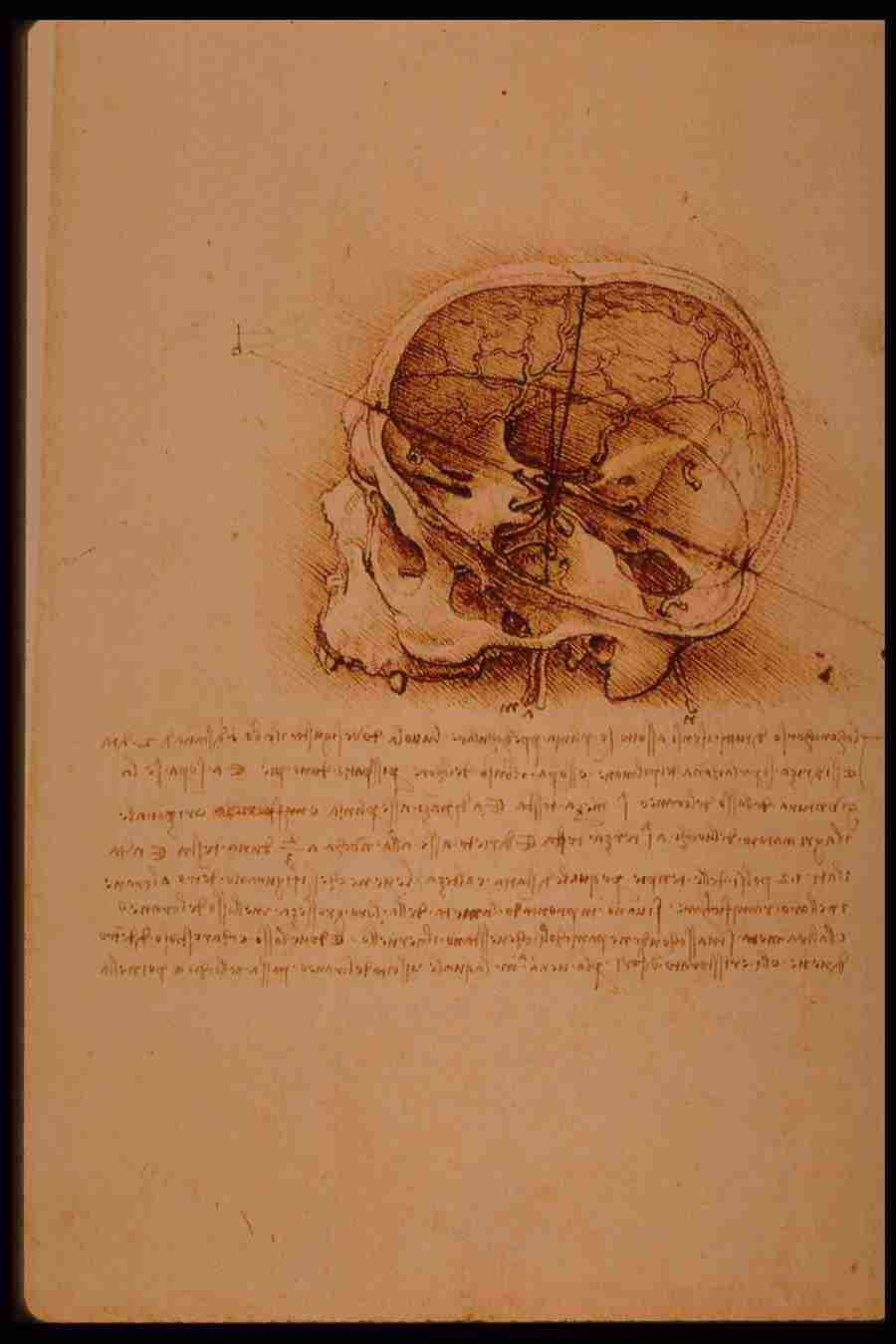 Leonardo Da Vinci - Planetart  ></a>
<script language=JavaScript> 
  var txt = 
