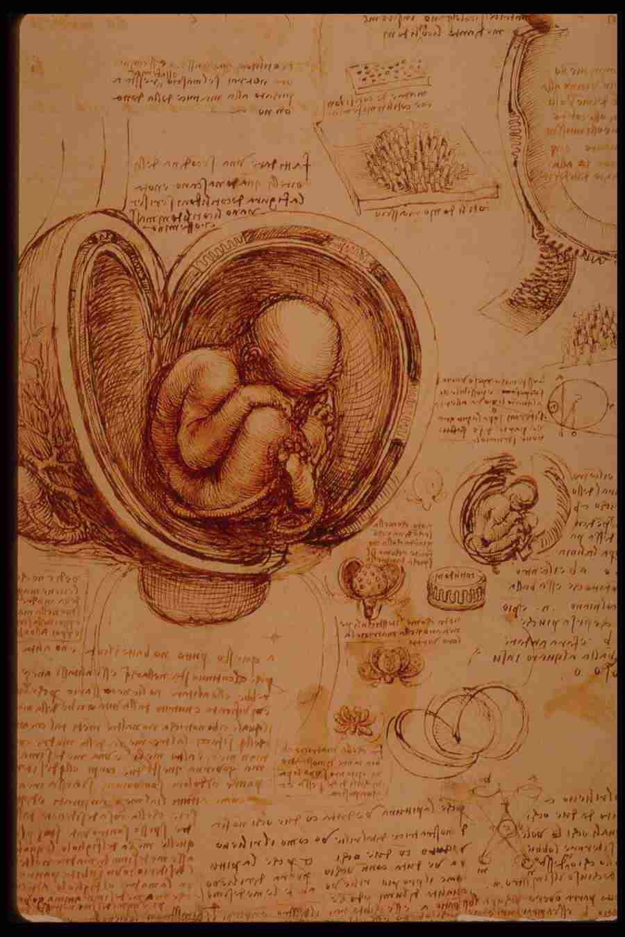 Leonardo Da Vinci - Planetart  ></a>
<script language=JavaScript> 
  var txt = 