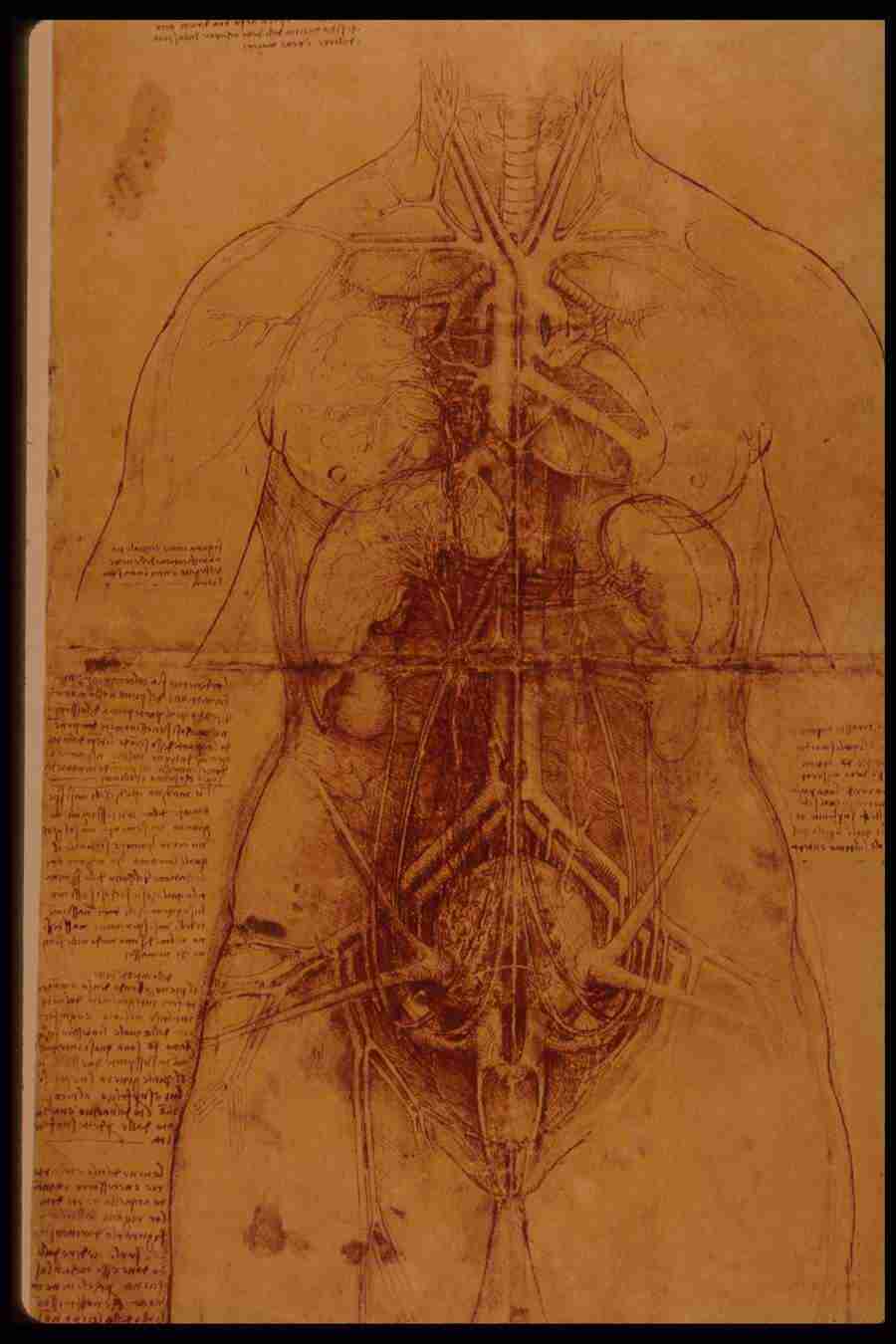 Leonardo Da Vinci - Planetart  ></a>
<script language=JavaScript> 
  var txt = 