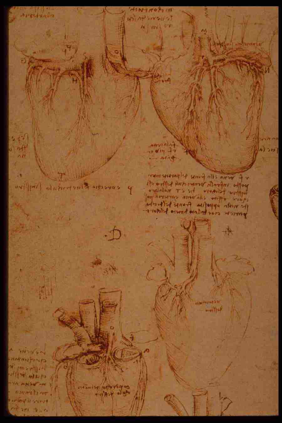 Leonardo Da Vinci - Planetart  ></a>
<script language=JavaScript> 
  var txt = 